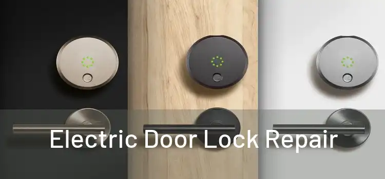 Electric Door Lock Repair