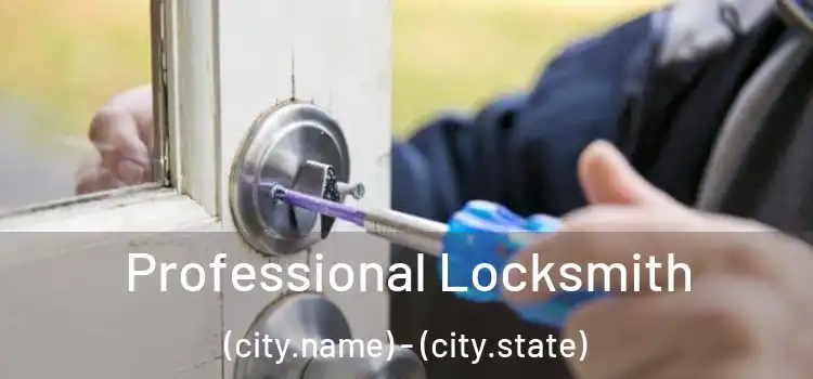 Professional Locksmith (city.name) - (city.state)